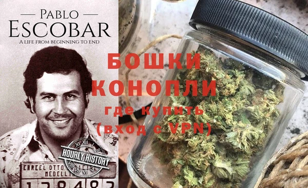 гидропоника Медногорск